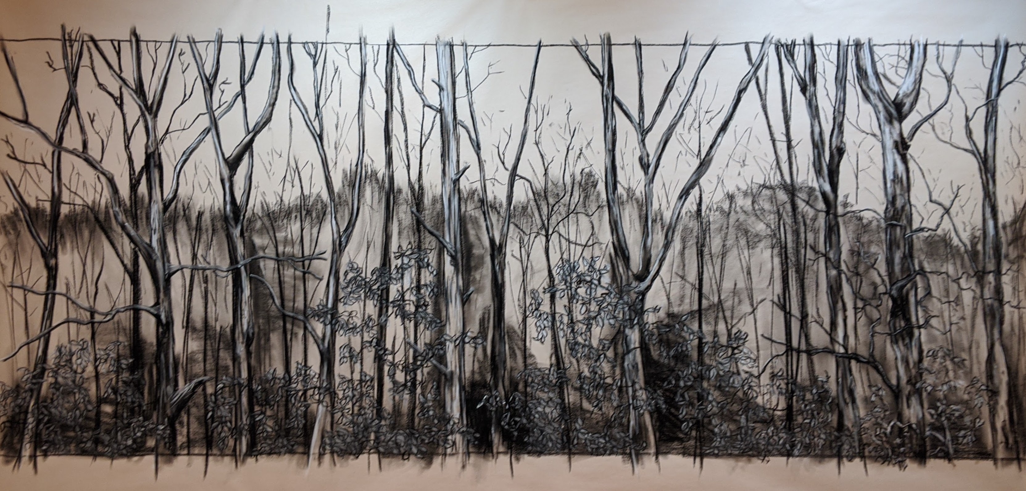Winter Woods